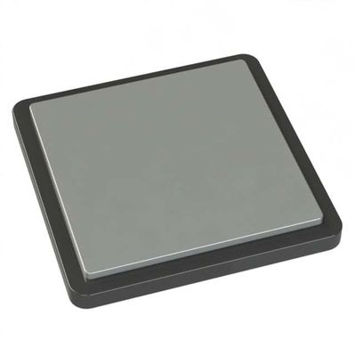 IC Integrated Circuits PM5324-FEI