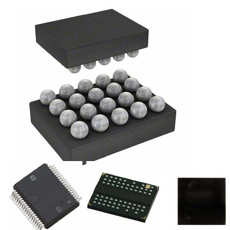 IC Integrated Circuits MSLB9061FC